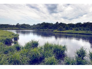 Property photo 131 - Eastern Oklahoma Land Auction - 855+/- Acres offered in 21 Tracts - Diverse Offering of Quality Ranch Land Near the I-40 Corridor