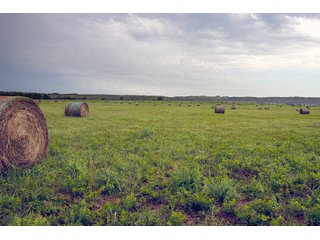 Property photo 132 - Eastern Oklahoma Land Auction - 855+/- Acres offered in 21 Tracts - Diverse Offering of Quality Ranch Land Near the I-40 Corridor
