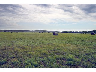 Property photo 133 - Eastern Oklahoma Land Auction - 855+/- Acres offered in 21 Tracts - Diverse Offering of Quality Ranch Land Near the I-40 Corridor