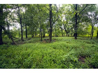 Property photo 134 - Eastern Oklahoma Land Auction - 855+/- Acres offered in 21 Tracts - Diverse Offering of Quality Ranch Land Near the I-40 Corridor
