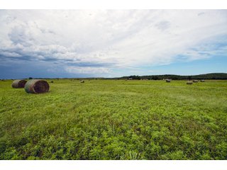Property photo 137 - Eastern Oklahoma Land Auction - 855+/- Acres offered in 21 Tracts - Diverse Offering of Quality Ranch Land Near the I-40 Corridor