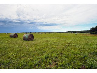 Property photo 138 - Eastern Oklahoma Land Auction - 855+/- Acres offered in 21 Tracts - Diverse Offering of Quality Ranch Land Near the I-40 Corridor