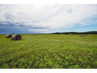 Property photo 139 - Eastern Oklahoma Land Auction - 855+/- Acres offered in 21 Tracts - Diverse Offering of Quality Ranch Land Near the I-40 Corridor