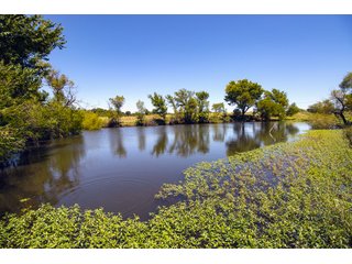 Property photo 40 - Eastern Oklahoma Land Auction - 855+/- Acres offered in 21 Tracts - Diverse Offering of Quality Ranch Land Near the I-40 Corridor