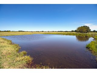 Property photo 41 - Eastern Oklahoma Land Auction - 855+/- Acres offered in 21 Tracts - Diverse Offering of Quality Ranch Land Near the I-40 Corridor