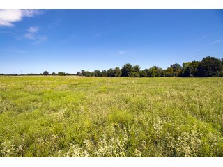 Property photo 51 - Eastern Oklahoma Land Auction - 855+/- Acres offered in 21 Tracts - Diverse Offering of Quality Ranch Land Near the I-40 Corridor
