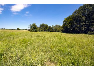 Property photo 52 - Eastern Oklahoma Land Auction - 855+/- Acres offered in 21 Tracts - Diverse Offering of Quality Ranch Land Near the I-40 Corridor