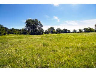 Property photo 53 - Eastern Oklahoma Land Auction - 855+/- Acres offered in 21 Tracts - Diverse Offering of Quality Ranch Land Near the I-40 Corridor