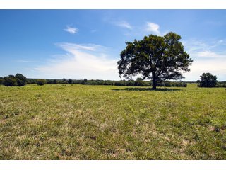 Property photo 55 - Eastern Oklahoma Land Auction - 855+/- Acres offered in 21 Tracts - Diverse Offering of Quality Ranch Land Near the I-40 Corridor
