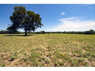 Property photo 56 - Eastern Oklahoma Land Auction - 855+/- Acres offered in 21 Tracts - Diverse Offering of Quality Ranch Land Near the I-40 Corridor