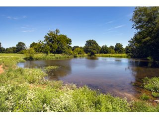 Property photo 58 - Eastern Oklahoma Land Auction - 855+/- Acres offered in 21 Tracts - Diverse Offering of Quality Ranch Land Near the I-40 Corridor