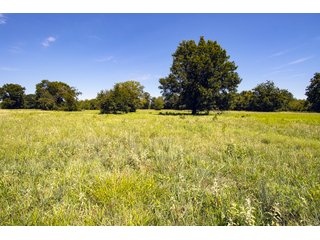 Property photo 59 - Eastern Oklahoma Land Auction - 855+/- Acres offered in 21 Tracts - Diverse Offering of Quality Ranch Land Near the I-40 Corridor