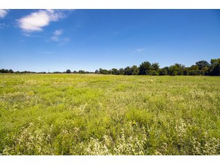 Property photo 60 - Eastern Oklahoma Land Auction - 855+/- Acres offered in 21 Tracts - Diverse Offering of Quality Ranch Land Near the I-40 Corridor