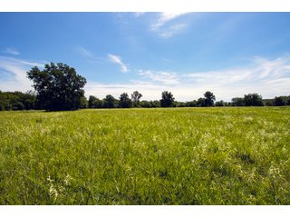 Property photo 61 - Eastern Oklahoma Land Auction - 855+/- Acres offered in 21 Tracts - Diverse Offering of Quality Ranch Land Near the I-40 Corridor