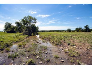 Property photo 63 - Eastern Oklahoma Land Auction - 855+/- Acres offered in 21 Tracts - Diverse Offering of Quality Ranch Land Near the I-40 Corridor
