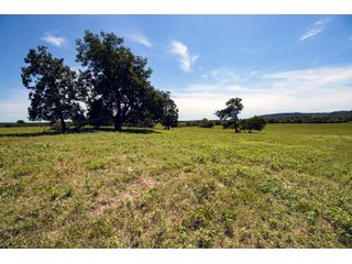 Property photo 64 - Eastern Oklahoma Land Auction - 855+/- Acres offered in 21 Tracts - Diverse Offering of Quality Ranch Land Near the I-40 Corridor