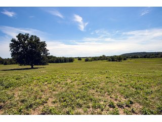 Property photo 65 - Eastern Oklahoma Land Auction - 855+/- Acres offered in 21 Tracts - Diverse Offering of Quality Ranch Land Near the I-40 Corridor
