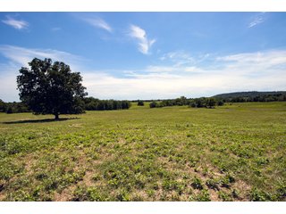 Property photo 66 - Eastern Oklahoma Land Auction - 855+/- Acres offered in 21 Tracts - Diverse Offering of Quality Ranch Land Near the I-40 Corridor