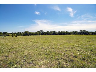 Property photo 68 - Eastern Oklahoma Land Auction - 855+/- Acres offered in 21 Tracts - Diverse Offering of Quality Ranch Land Near the I-40 Corridor