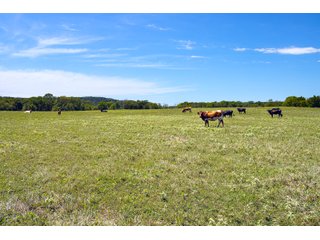 Property photo 69 - Eastern Oklahoma Land Auction - 855+/- Acres offered in 21 Tracts - Diverse Offering of Quality Ranch Land Near the I-40 Corridor