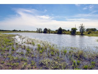 Property photo 73 - Eastern Oklahoma Land Auction - 855+/- Acres offered in 21 Tracts - Diverse Offering of Quality Ranch Land Near the I-40 Corridor