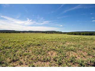 Property photo 75 - Eastern Oklahoma Land Auction - 855+/- Acres offered in 21 Tracts - Diverse Offering of Quality Ranch Land Near the I-40 Corridor