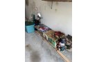 Property photo 252 - TIMED ONLINE ONLY PERSONAL PROPERTY AUCTION IN ADAMS COUNTY, INDIANA