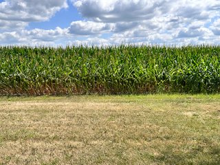 Property photo 19 - REAL ESTATE AUCTION - 48+/- ACRES OFFERED IN 4 TRACTS IN ALLEN COUNTY, INDIANA