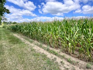 Property photo 17 - REAL ESTATE AUCTION - 48+/- ACRES OFFERED IN 4 TRACTS IN ALLEN COUNTY, INDIANA