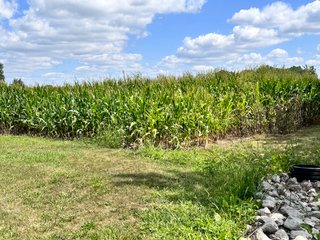 Property photo 9 - REAL ESTATE AUCTION - 48+/- ACRES OFFERED IN 4 TRACTS IN ALLEN COUNTY, INDIANA