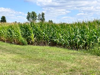 Property photo 20 - REAL ESTATE AUCTION - 48+/- ACRES OFFERED IN 4 TRACTS IN ALLEN COUNTY, INDIANA