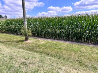 Property photo 22 - REAL ESTATE AUCTION - 48+/- ACRES OFFERED IN 4 TRACTS IN ALLEN COUNTY, INDIANA