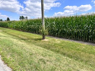Property photo 23 - REAL ESTATE AUCTION - 48+/- ACRES OFFERED IN 4 TRACTS IN ALLEN COUNTY, INDIANA