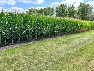 Property photo 24 - REAL ESTATE AUCTION - 48+/- ACRES OFFERED IN 4 TRACTS IN ALLEN COUNTY, INDIANA