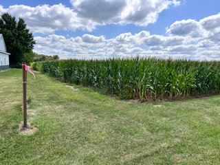 Property photo 25 - REAL ESTATE AUCTION - 48+/- ACRES OFFERED IN 4 TRACTS IN ALLEN COUNTY, INDIANA