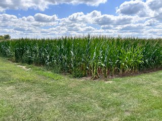 Property photo 26 - REAL ESTATE AUCTION - 48+/- ACRES OFFERED IN 4 TRACTS IN ALLEN COUNTY, INDIANA
