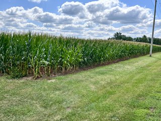 Property photo 27 - REAL ESTATE AUCTION - 48+/- ACRES OFFERED IN 4 TRACTS IN ALLEN COUNTY, INDIANA