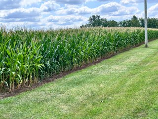 Property photo 29 - REAL ESTATE AUCTION - 48+/- ACRES OFFERED IN 4 TRACTS IN ALLEN COUNTY, INDIANA