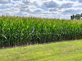 Property photo 30 - REAL ESTATE AUCTION - 48+/- ACRES OFFERED IN 4 TRACTS IN ALLEN COUNTY, INDIANA