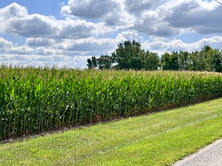 Property photo 31 - REAL ESTATE AUCTION - 48+/- ACRES OFFERED IN 4 TRACTS IN ALLEN COUNTY, INDIANA