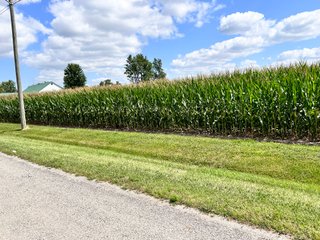 Property photo 32 - REAL ESTATE AUCTION - 48+/- ACRES OFFERED IN 4 TRACTS IN ALLEN COUNTY, INDIANA