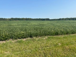 Property photo 43 - LAND AUCTION-121+/- ACRES OFFERED IN 4 TRACTS IN DEFIANCE COUNTY OHIO
