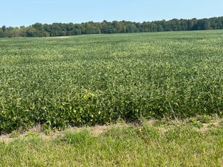 Property photo 55 - LAND AUCTION-121+/- ACRES OFFERED IN 4 TRACTS IN DEFIANCE COUNTY OHIO