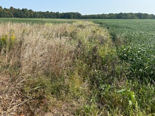 Property photo 69 - LAND AUCTION-121+/- ACRES OFFERED IN 4 TRACTS IN DEFIANCE COUNTY OHIO
