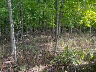 Property photo 65 - LAND AUCTION-121+/- ACRES OFFERED IN 4 TRACTS IN DEFIANCE COUNTY OHIO