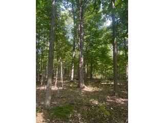 Property photo 62 - LAND AUCTION-121+/- ACRES OFFERED IN 4 TRACTS IN DEFIANCE COUNTY OHIO