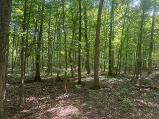 Property photo 83 - LAND AUCTION-121+/- ACRES OFFERED IN 4 TRACTS IN DEFIANCE COUNTY OHIO