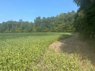 Property photo 20 - LAND AUCTION-121+/- ACRES OFFERED IN 4 TRACTS IN DEFIANCE COUNTY OHIO