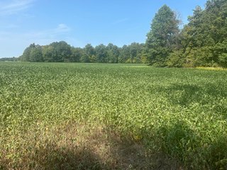 Property photo 15 - LAND AUCTION-121+/- ACRES OFFERED IN 4 TRACTS IN DEFIANCE COUNTY OHIO