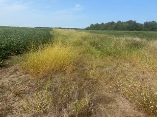 Property photo 3 - LAND AUCTION-121+/- ACRES OFFERED IN 4 TRACTS IN DEFIANCE COUNTY OHIO